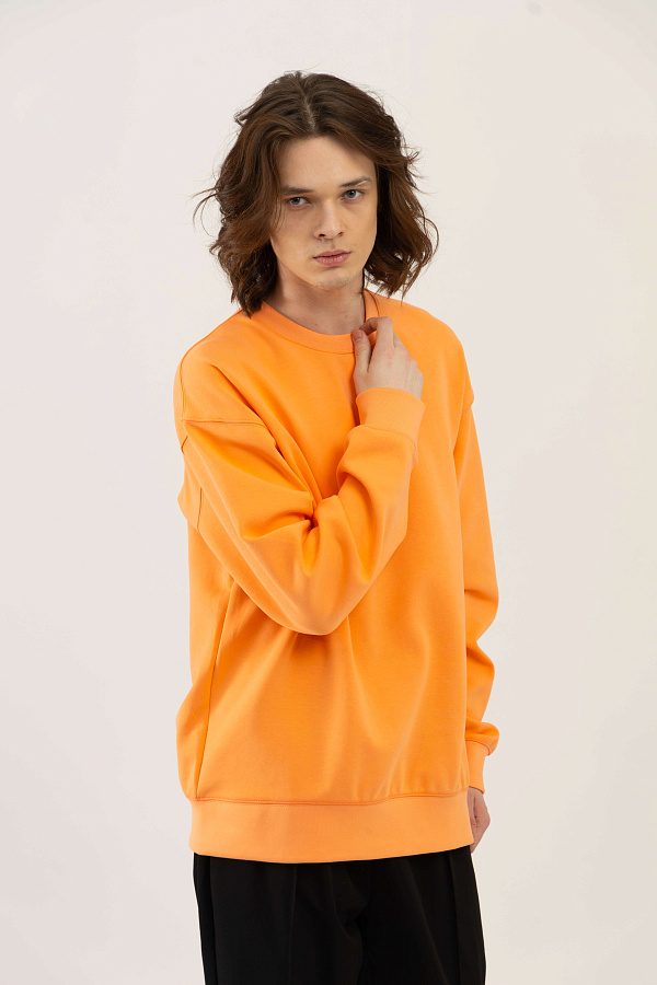 Толстовка короткая длина